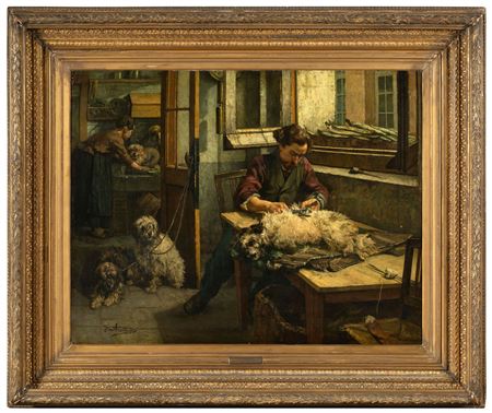 The dog shearer