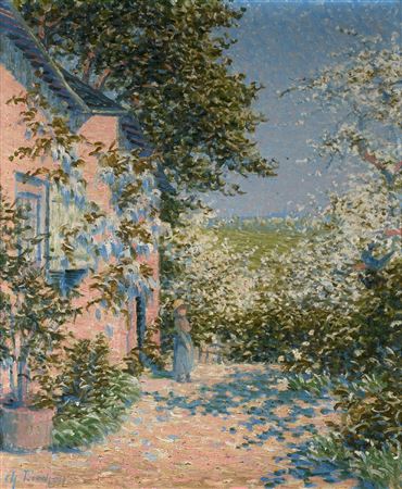 Apple trees in blossom and wisteria