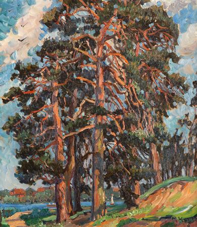 Pine trees at the Dargun monastery lake