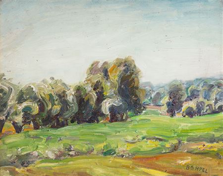 Darßlandschaft.