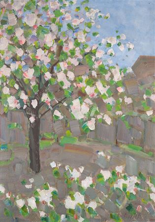 Obstbaumblüte