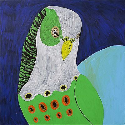 Budgie Dreaming