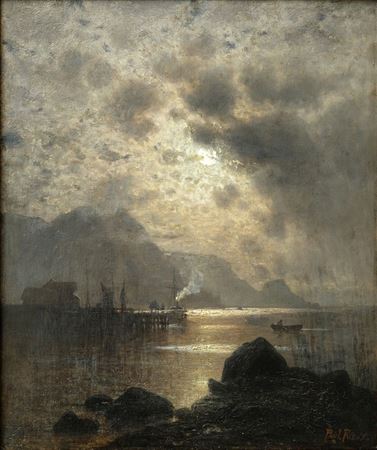 Norwegian coastal landscape by moonlight