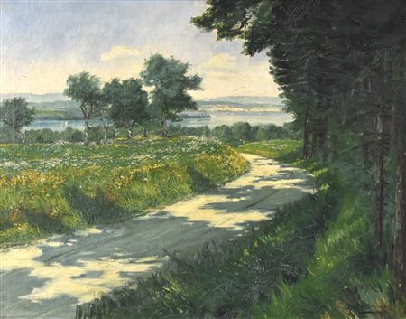 Feldweg am See
