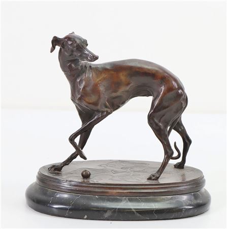 Whippet:Gigi