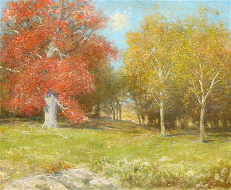 Summer pastural landscape