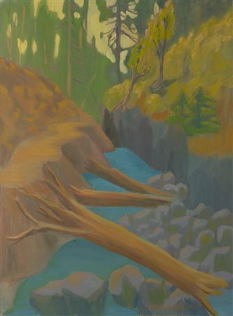 Stream in the forest