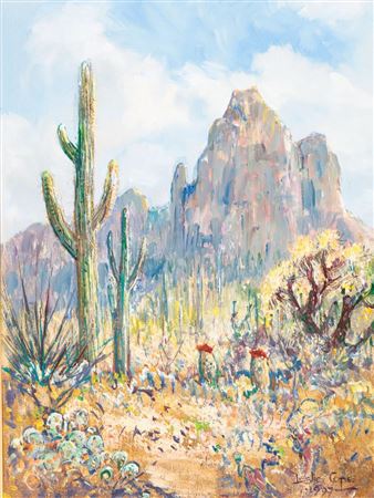 "ARIZONA DESERT"