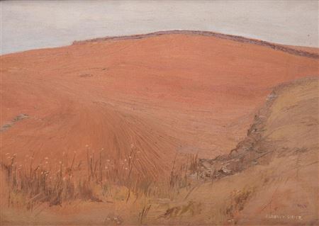 Red Fields