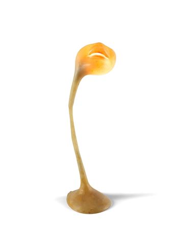 Mug lamp - 1969 by Alina Szapocznikow - Auction record, sale price, and art valuation. Compare with similar artists and explore comparable artworks.