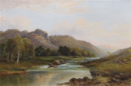 Cattle, Snowdonia