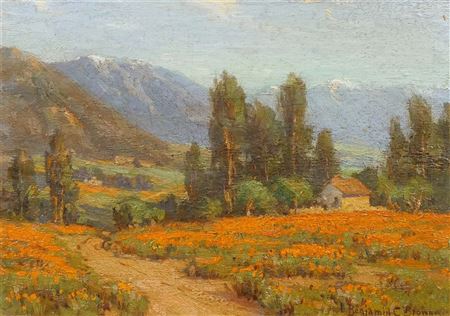 Poppy Field