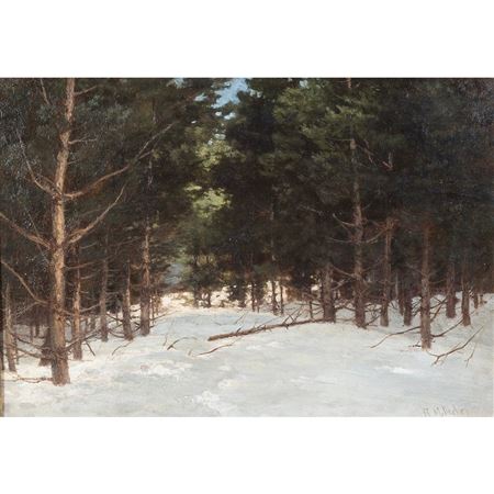 Snow Landscape