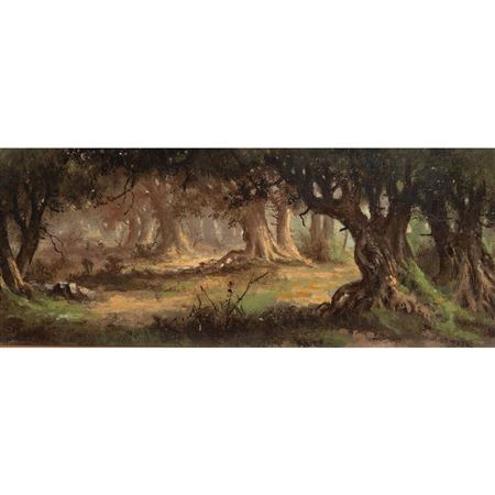 Forest Landscape