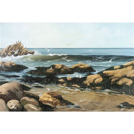 Carmel Kelp