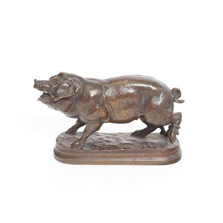 Pig