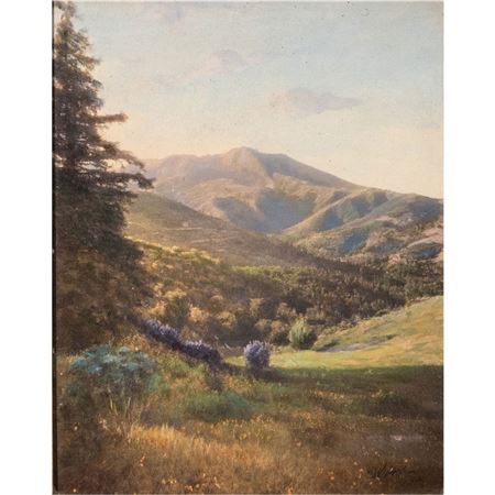 Mount Tamalpais