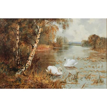 Swans in Lake