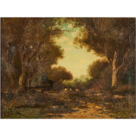 Forest Landscape