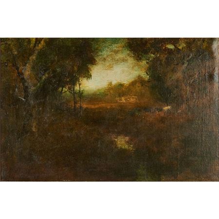 Forest Landscape