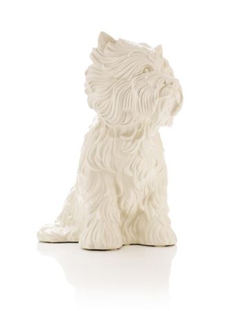 "Puppy"