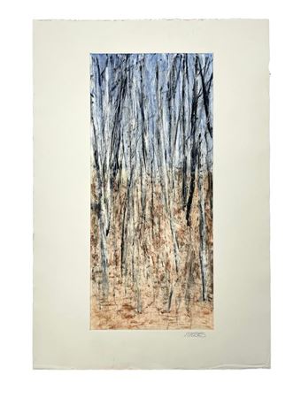 Wooded Landscape