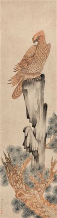 Eagle on Pine and Rock