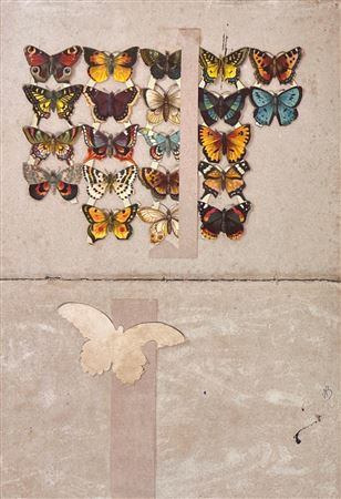 Untitled (Butterflies)