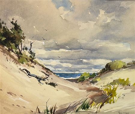 Dunes