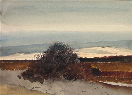 "Pilgrim Lake, 1984"
