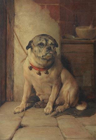 The patient - a Pug by a veterinary station