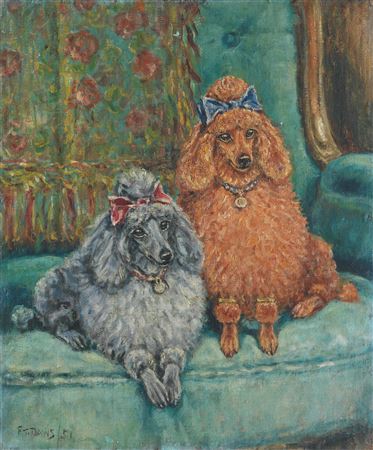 Apricot and sable Mannerhead Poodles