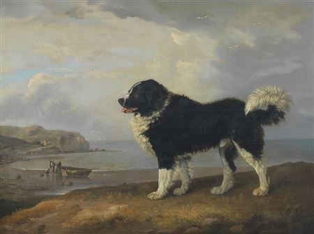 A Newfoundland off the English coast by Edmund Bristow - Auction record, sale price, and art valuation. Compare with similar artists and explore comparable artworks.