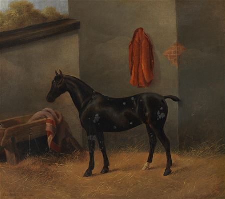 Portrait of a brown horse in a stable