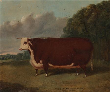 Hereford prize heifer in a landscape by Richard Whitford - Auction record, sale price, and art valuation. Compare with similar artists and explore comparable artworks.