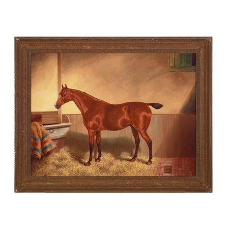 The Bright Bay Hunter "Rallywood" in a Stable