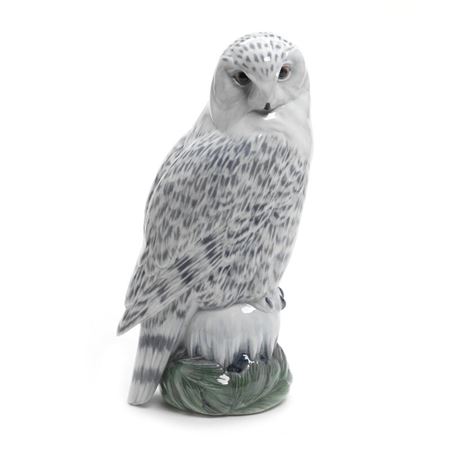 “Snow owl”.