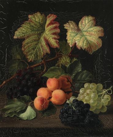 Still life with grape vines and apricots.