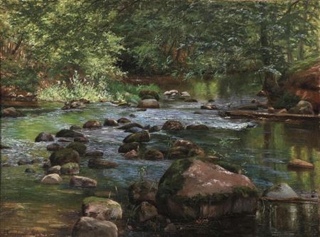 Forest view from Sæby with a running stream