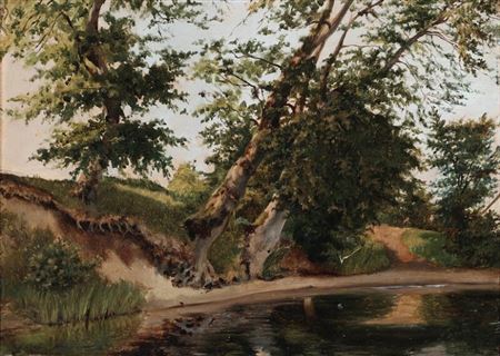 View from the coast of a lake