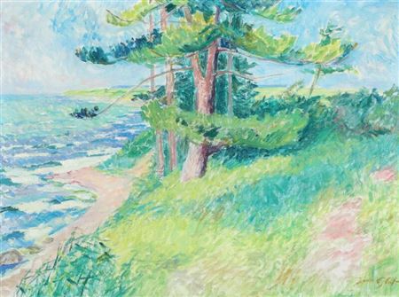 Coastal scenery