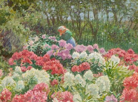 Rhododendron bushes in the garden of Dagminne, Skagen
