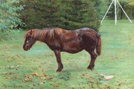 “Picolo”, 1895
