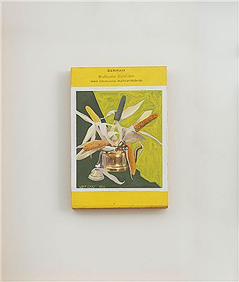 'Siermaïs', 1968. by Jef Geys - Auction record, sale price, and art valuation. Compare with similar artists and explore comparable artworks.