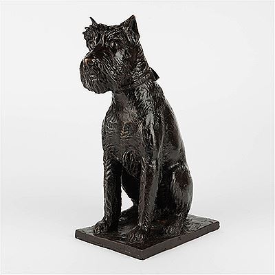 Schnauzer