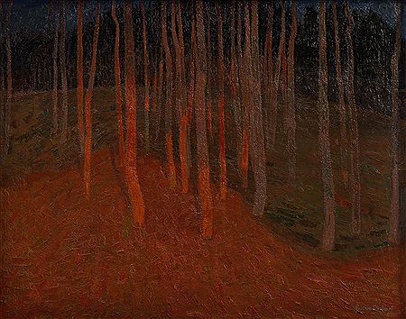 Nocturnal forest view, 1911.