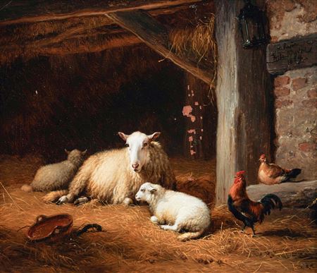 Sheep, rooster and hen in the barn