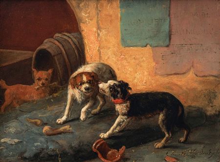 Fighting dogs.