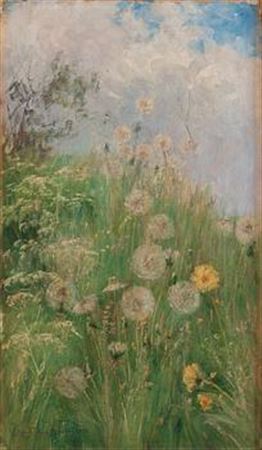 Dandelions