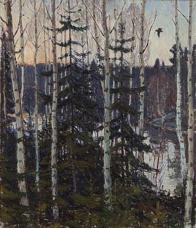 Nightjar over the river